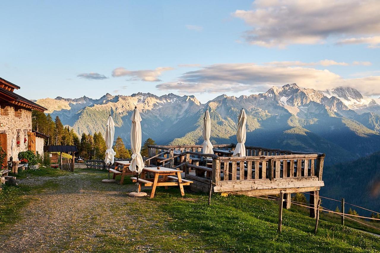 Nestalp Malga Campo Villa Peio Exteriör bild