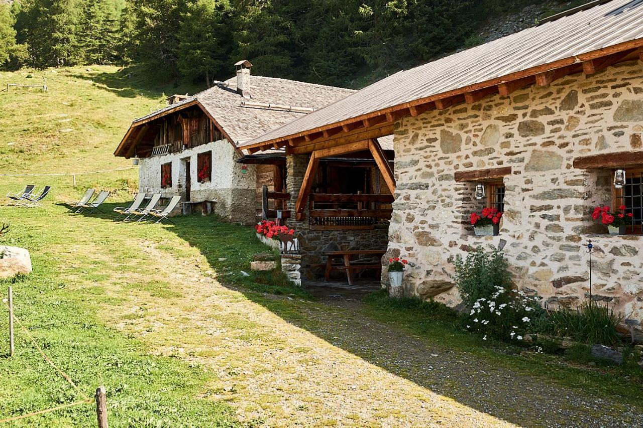 Nestalp Malga Campo Villa Peio Exteriör bild