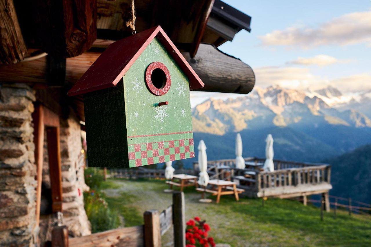 Nestalp Malga Campo Villa Peio Exteriör bild