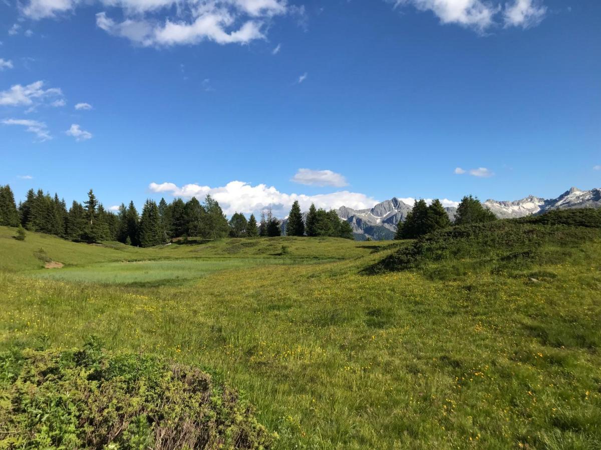 Nestalp Malga Campo Villa Peio Exteriör bild