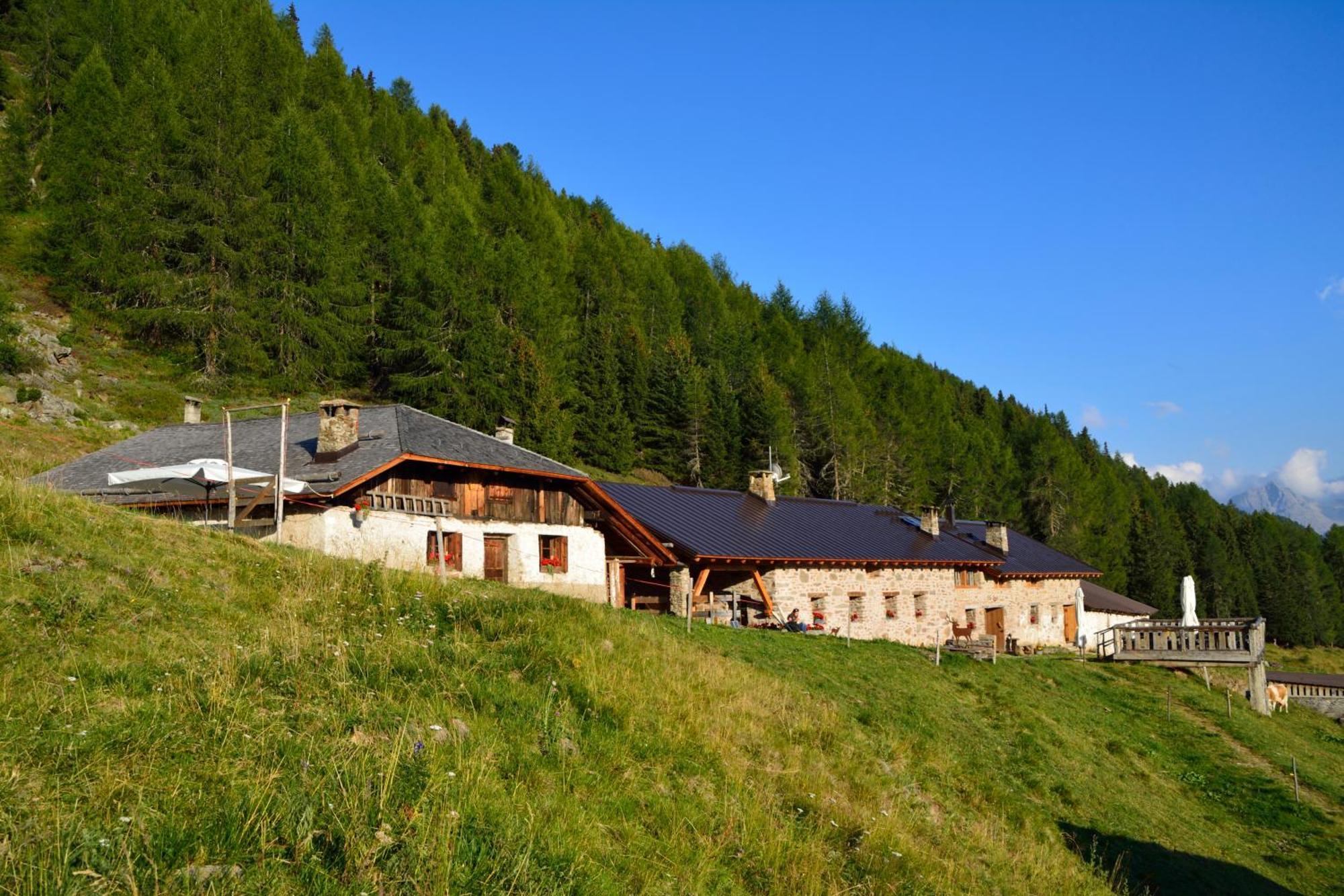 Nestalp Malga Campo Villa Peio Exteriör bild