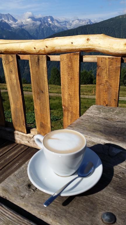 Nestalp Malga Campo Villa Peio Exteriör bild