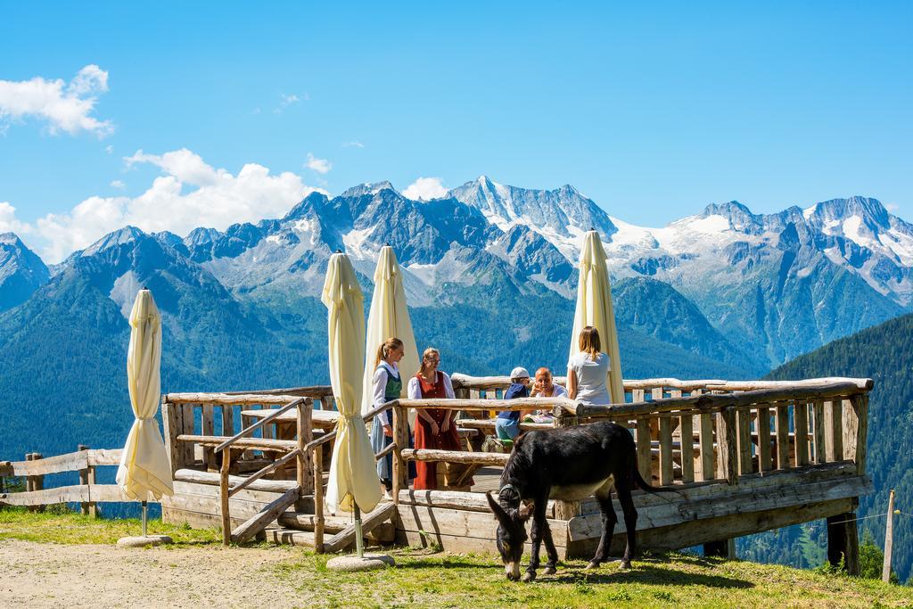 Nestalp Malga Campo Villa Peio Exteriör bild